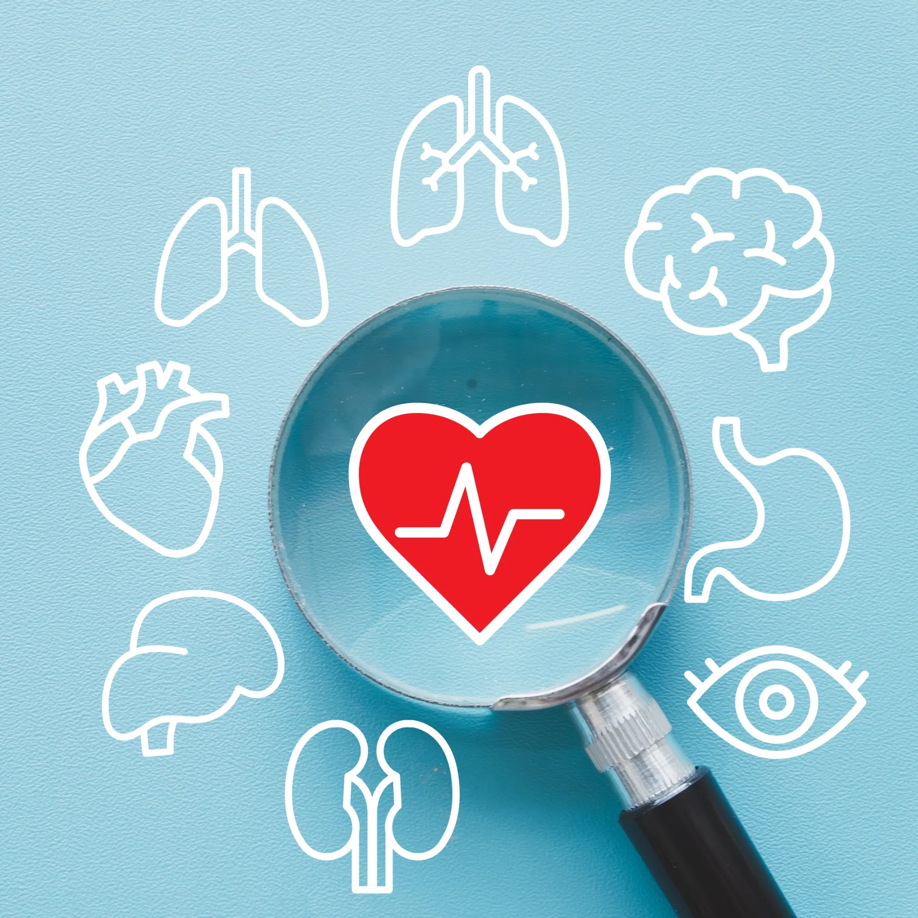 A light blue background with a heart + pulse icon shown under a magnifying glass with symbols for all other major organs around it.