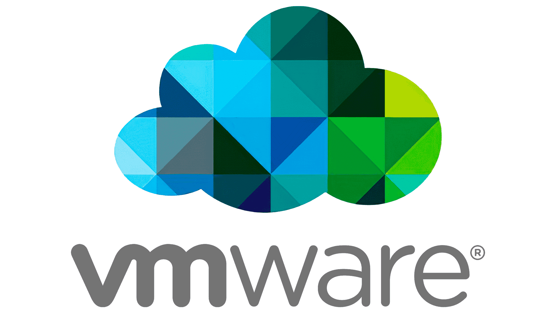 VMware logo with a colorful geometric cloud above the company name in gray letters.