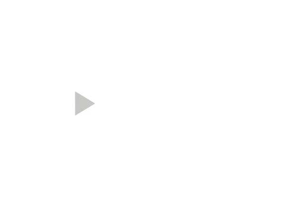 Bidvest Group logo with a triangular shape pointing right and the text 'Bidvest Group' underneath.