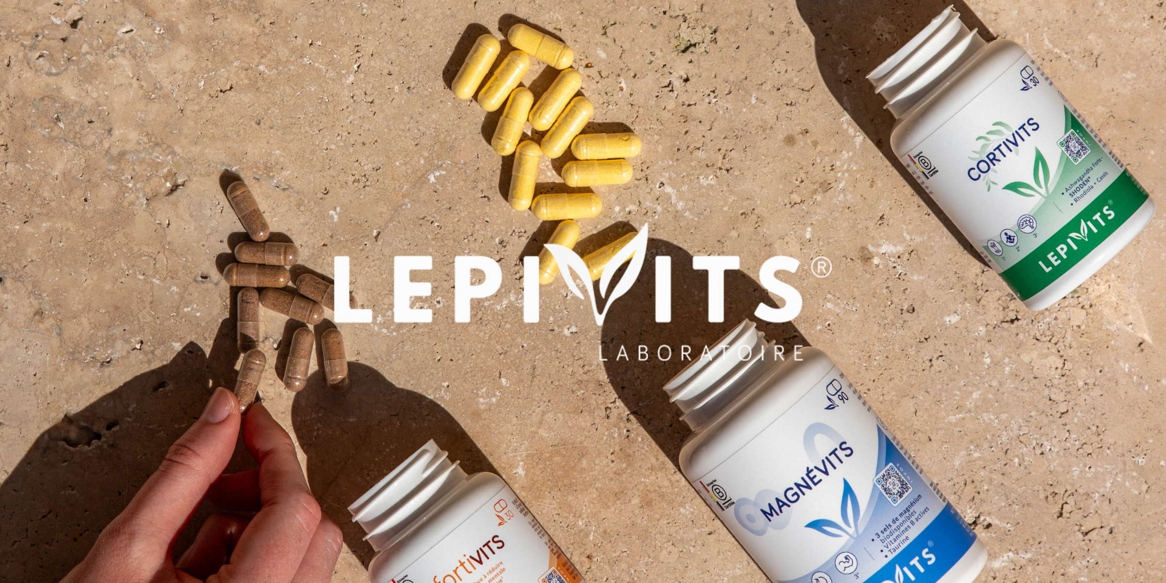 Terraphy case study