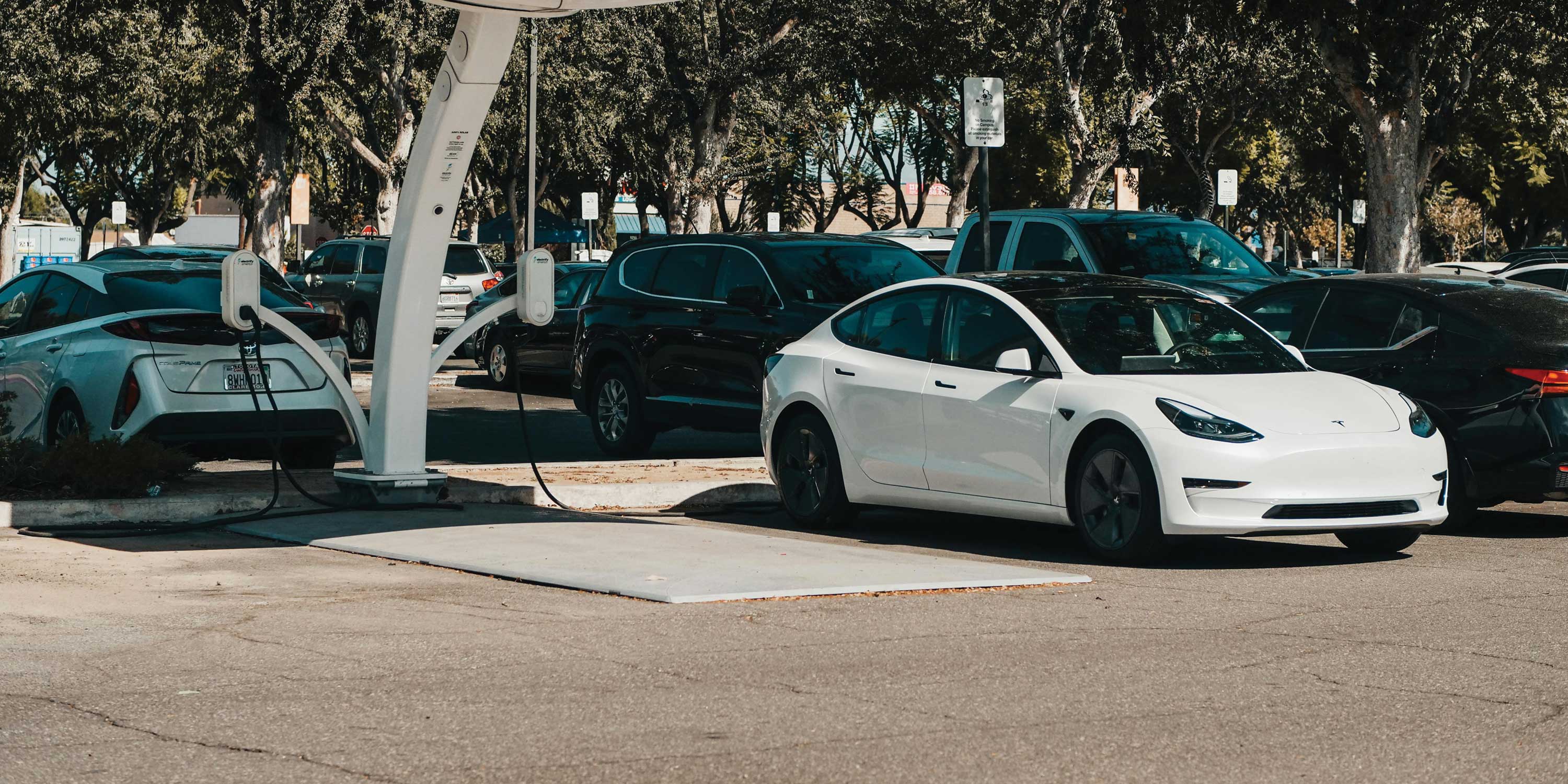 White Tesla Model 3 electric car parked and charging at a public EV charging station in a tree-lined parking lot.