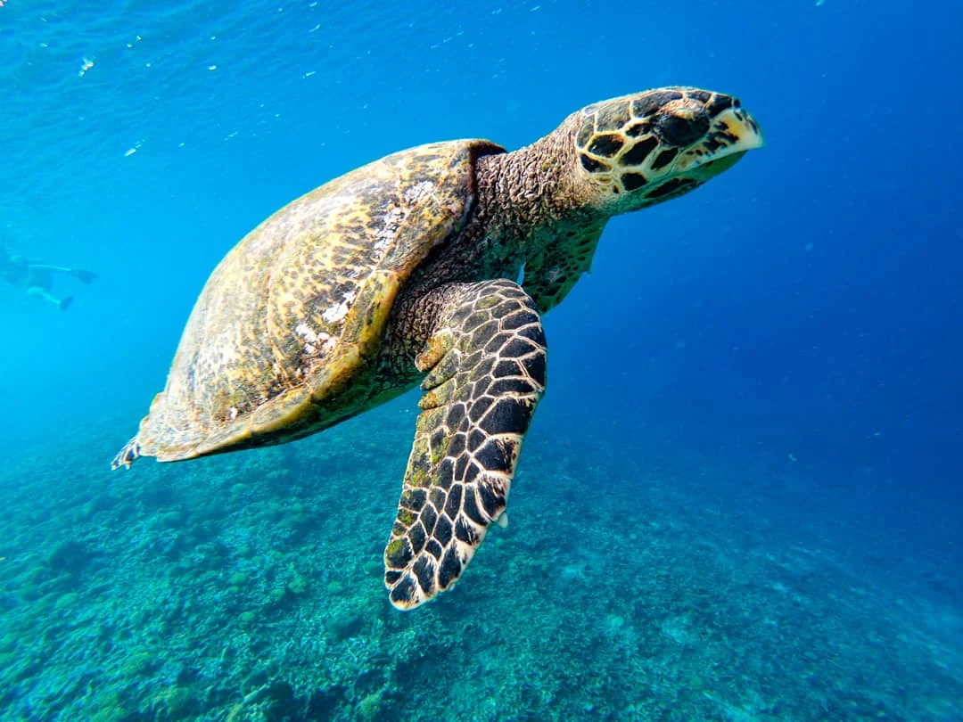 [background image] yoga studio interior