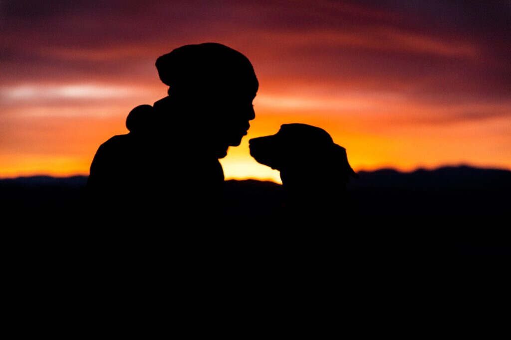The Farewell Process - Signs Your Dog is Dying