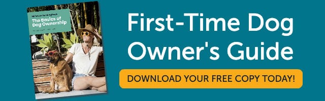 First-Time Dog Owner Guide