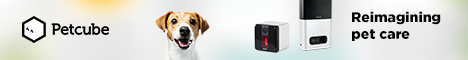 Petcube: Interactive Wi-Fi Pet Camera