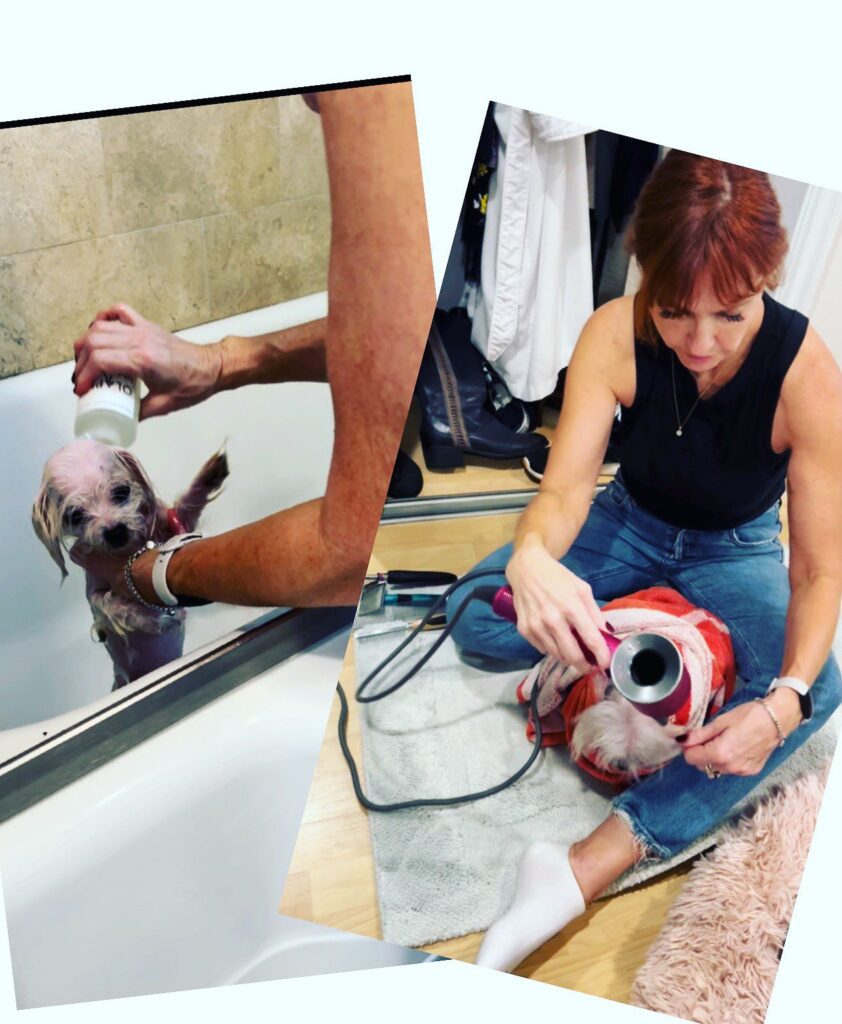 Brenda, Michelson Institute for Pet Professions graduate