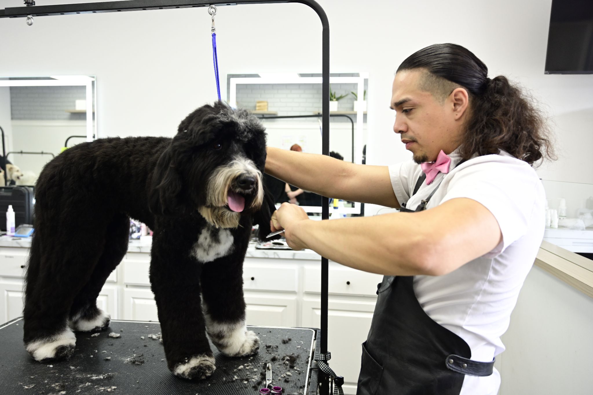 Angel, Michelson Institute for Pet Professions student