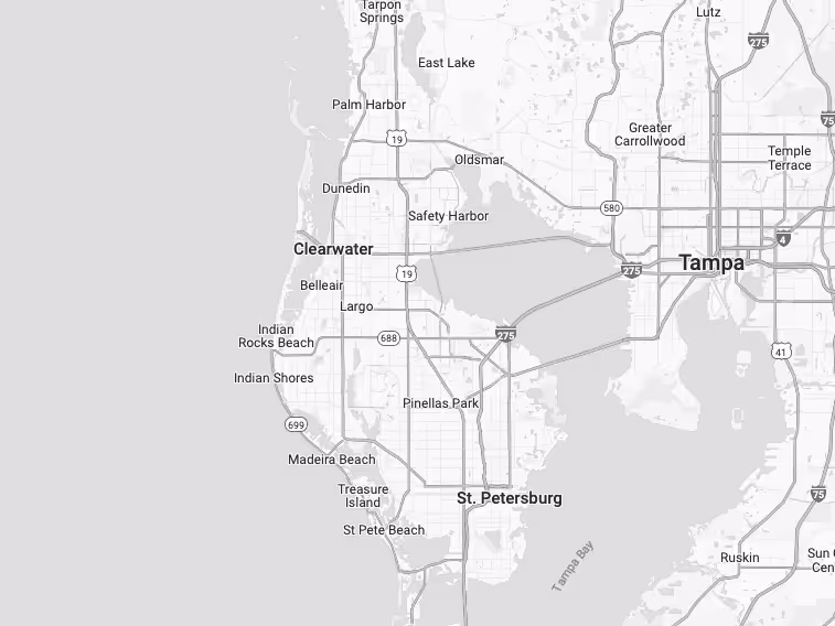 Reliable Handyman Tampa map image
