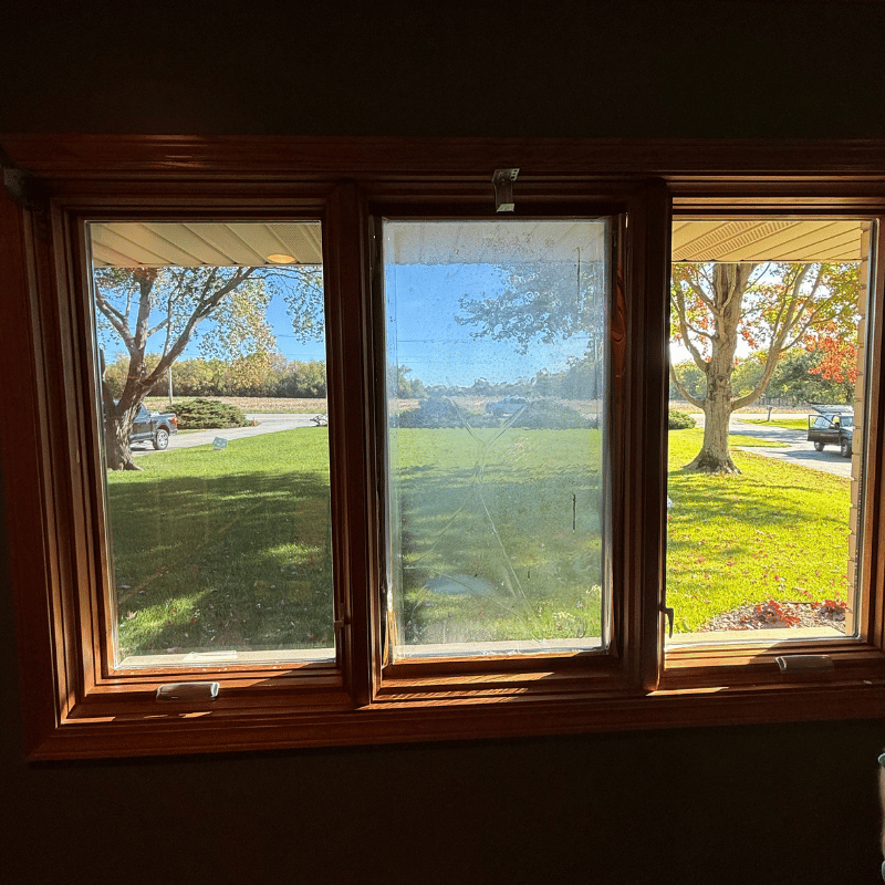 Three wooden-framed windows showing a sunny outdoor view with green grass and trees. The scene includes cars parked on a pathway and autumn foliage in the background, enhancing the serene atmosphere. The Wrap Lab Premium.
