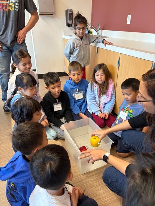 Group of young children gathered around a clear plastic container filled with water, watching a woman place a yellow apple inside it for a science demonstration.