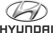 Vehicle brand logo serviced by EV Hybrid Smash Perth