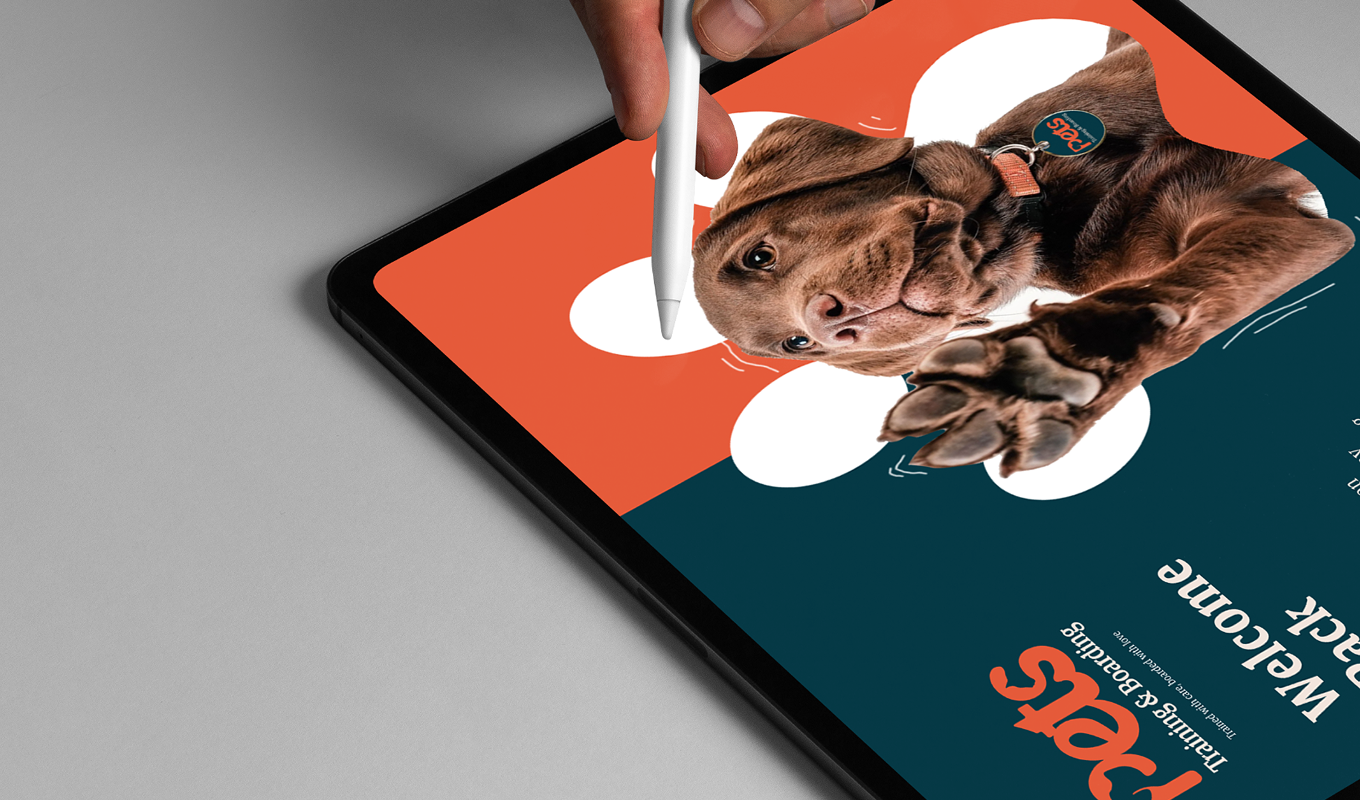 Close-up of a tablet screen showing a digital design with a brown puppy and text about pet training and boarding, a hand holds a white stylus above it.