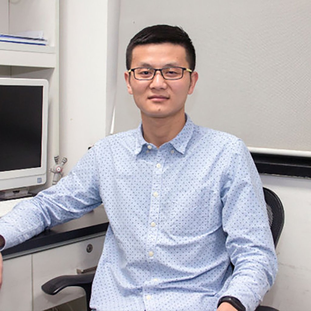 Xie Zhenfei