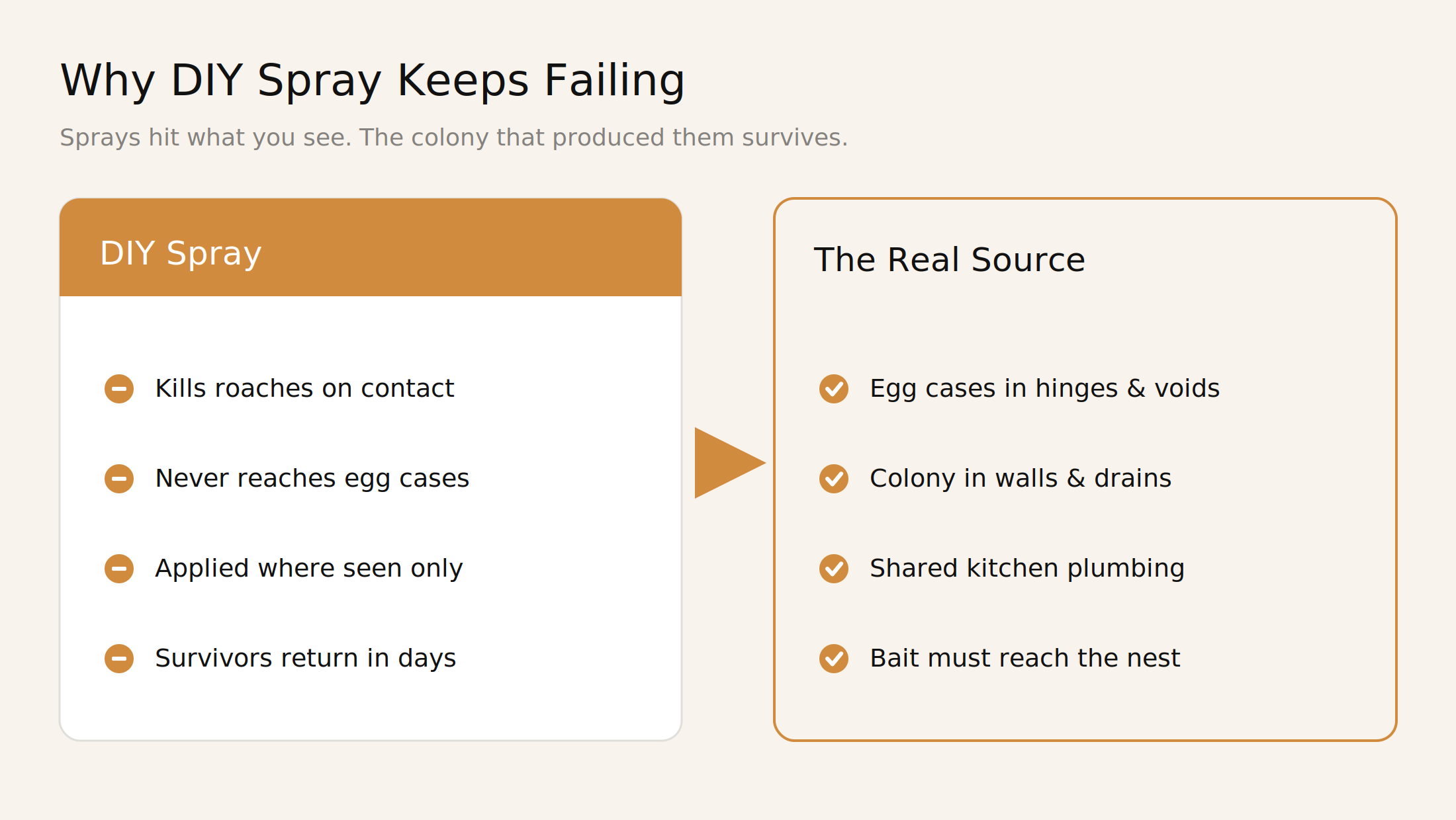 Infographic showing why DIY cockroach spray fails while the colony survives