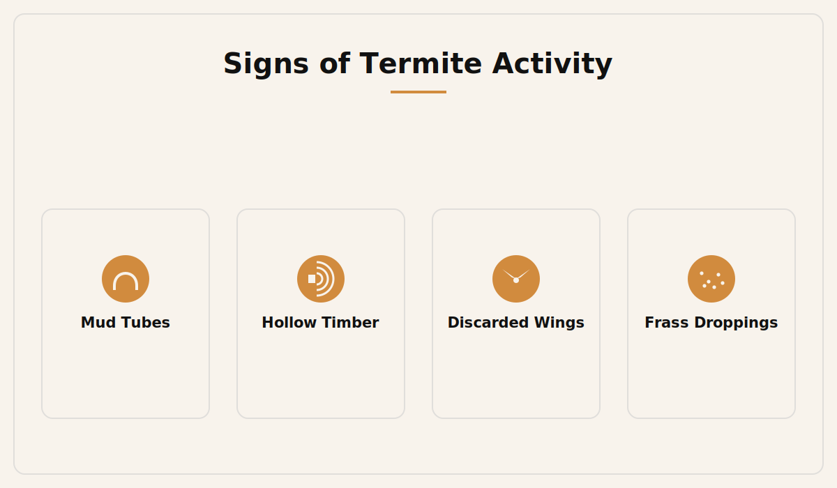 Signs of termite activity in a Dubai property