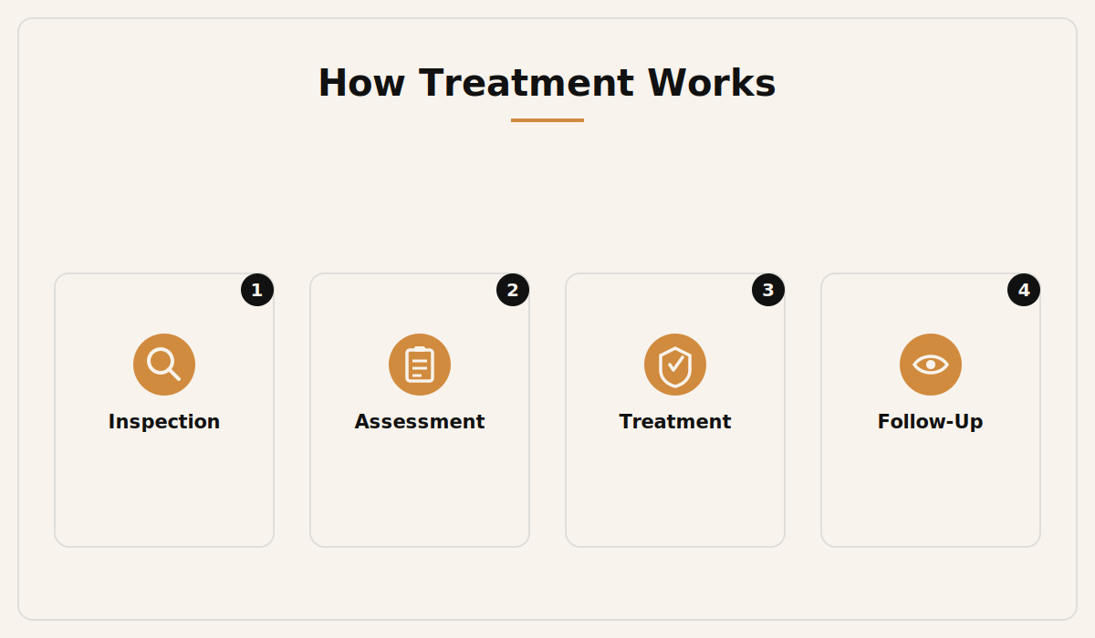 How Santera termite treatment works: inspection, assessment, treatment and follow-up