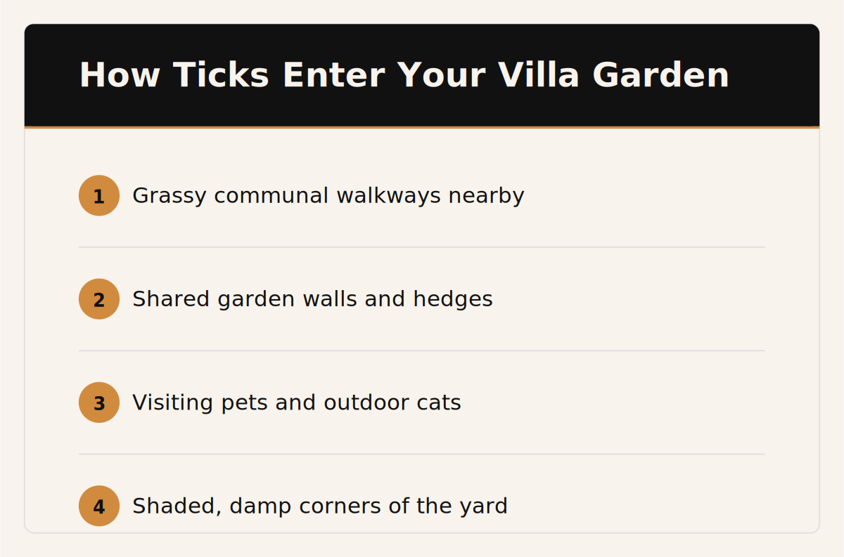 Diagram showing how ticks enter an Al Warqa villa garden: grassy communal walkways, shared garden walls, visiting pets, and shaded damp corners