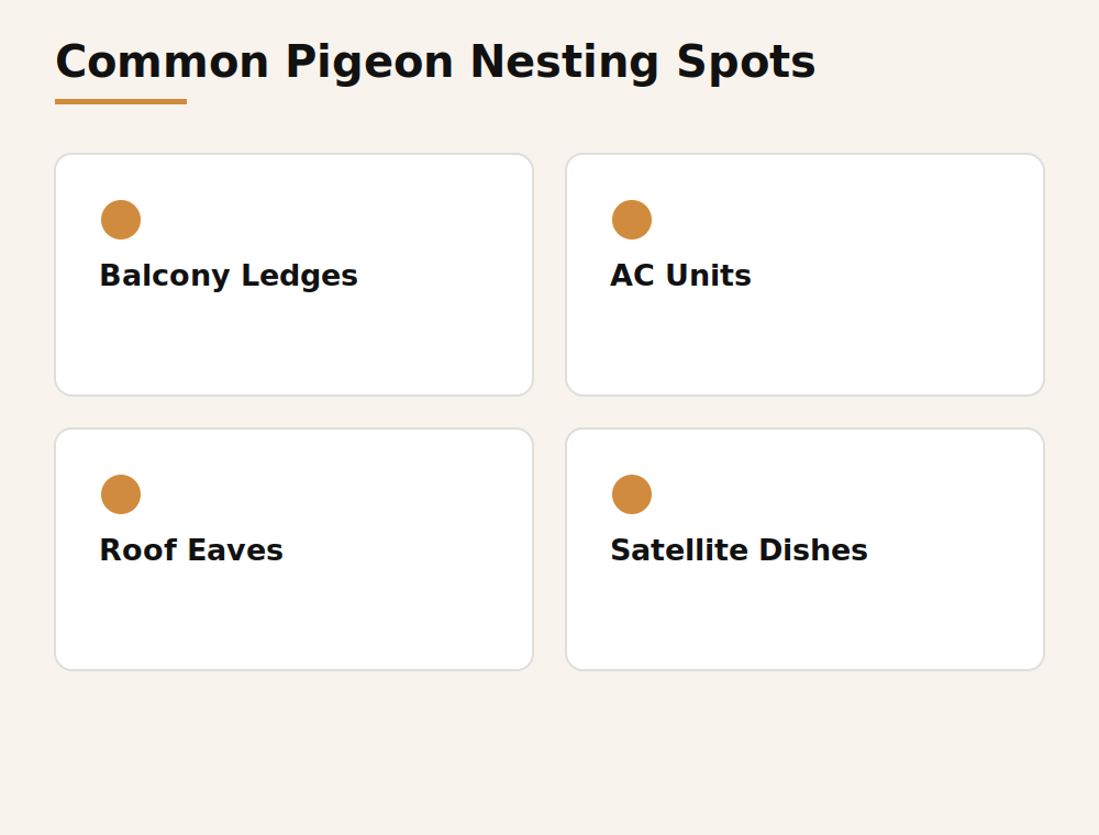 Common pigeon nesting spots on Dubai buildings: balcony ledges, AC units, roof eaves, satellite dishes