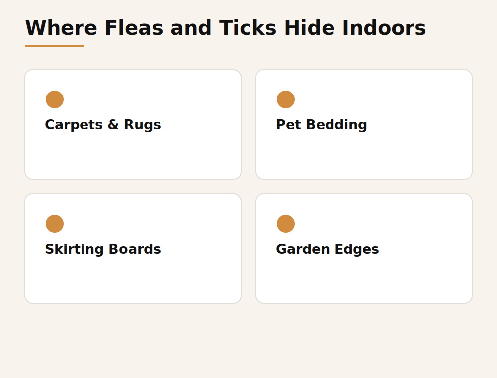 Where fleas and ticks hide indoors: carpets and rugs, pet bedding, skirting boards, garden edges