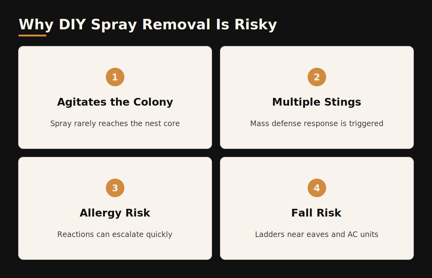 Why DIY wasp spray removal is risky: agitated colony, multiple stings, fall risk