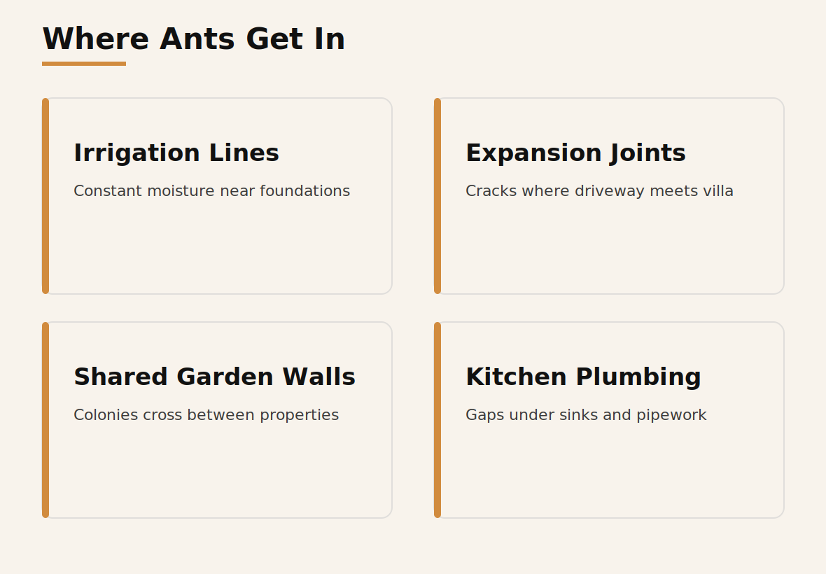 Diagram of common ant entry points in Al Qusais villas and apartments: irrigation lines, expansion joints, shared garden walls, kitchen plumbing