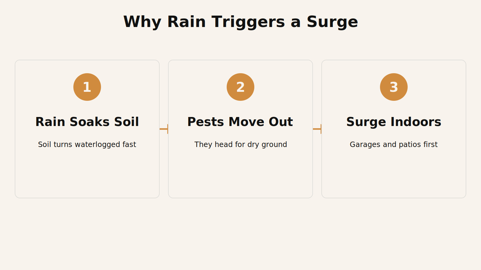 Diagram of how rain saturates garden soil and pushes centipedes and millipedes toward villa interiors