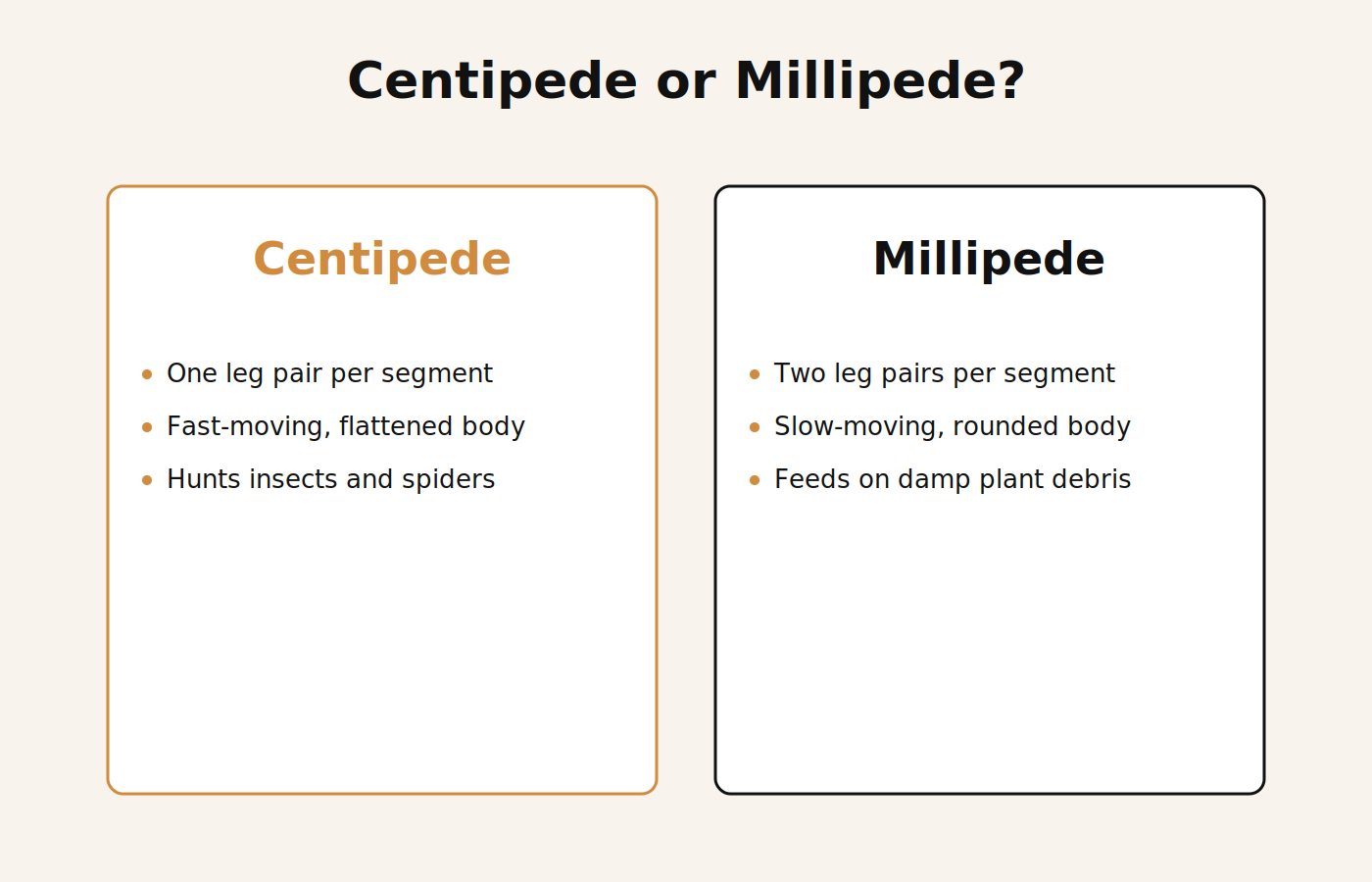 Side-by-side comparison of centipede versus millipede identifying features