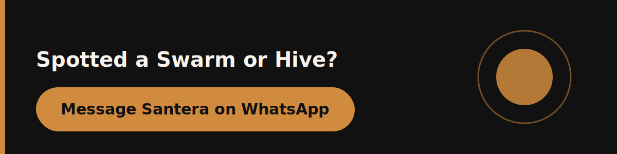 Message Santera on WhatsApp for same-day bee removal and relocation in Dubai