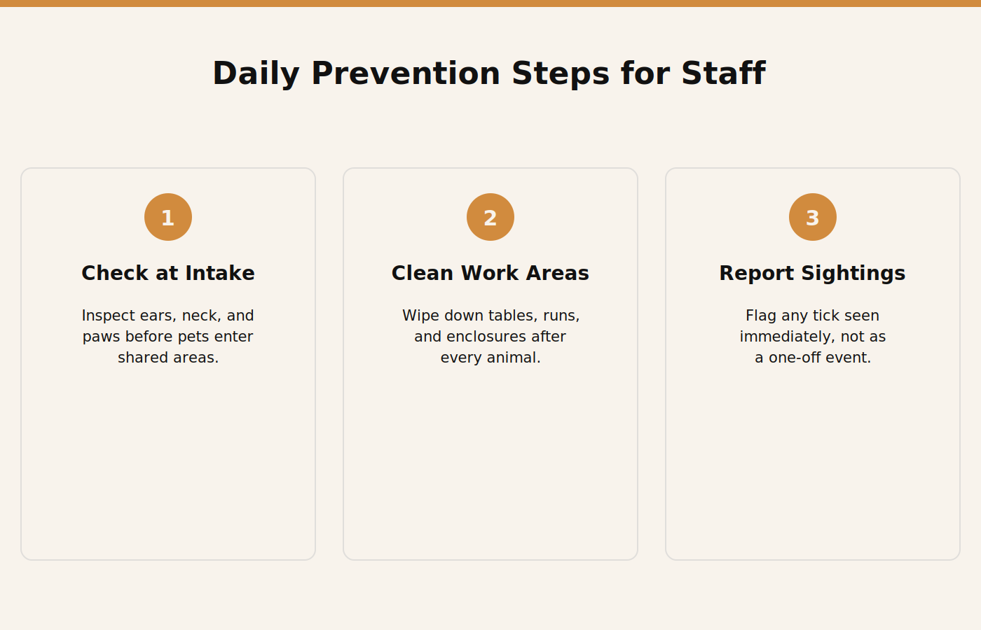 Infographic showing daily tick prevention steps for staff at a Dubai pet hotel or grooming salon