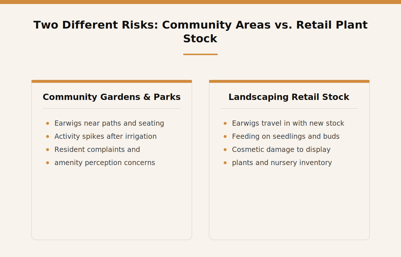 Comparison of earwig risk in Dubai community gardens versus landscaping retail plant stock