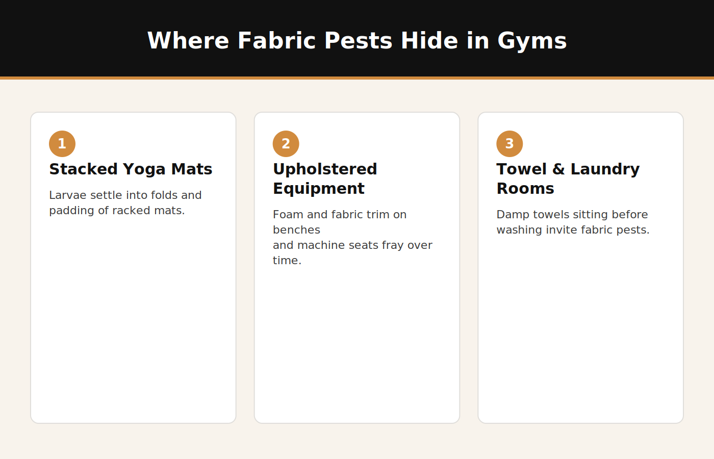 Infographic showing where fabric pests hide in Dubai gyms: yoga mats, upholstered equipment, towel storage