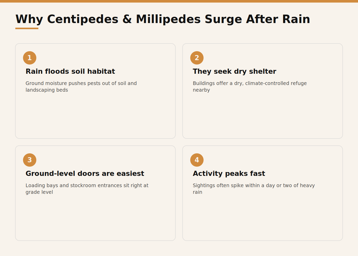 Infographic showing why centipedes and millipedes surge in Dubai after rain