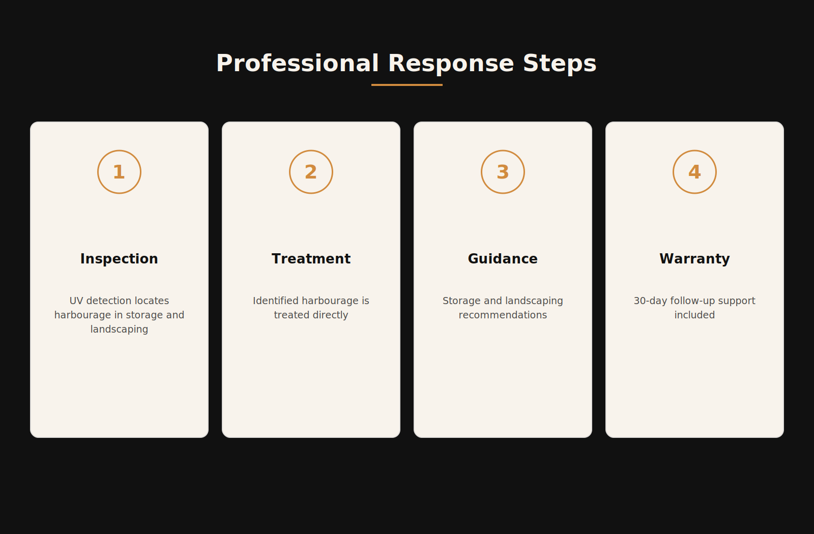 Professional scorpion response steps: inspection, treatment, guidance, warranty