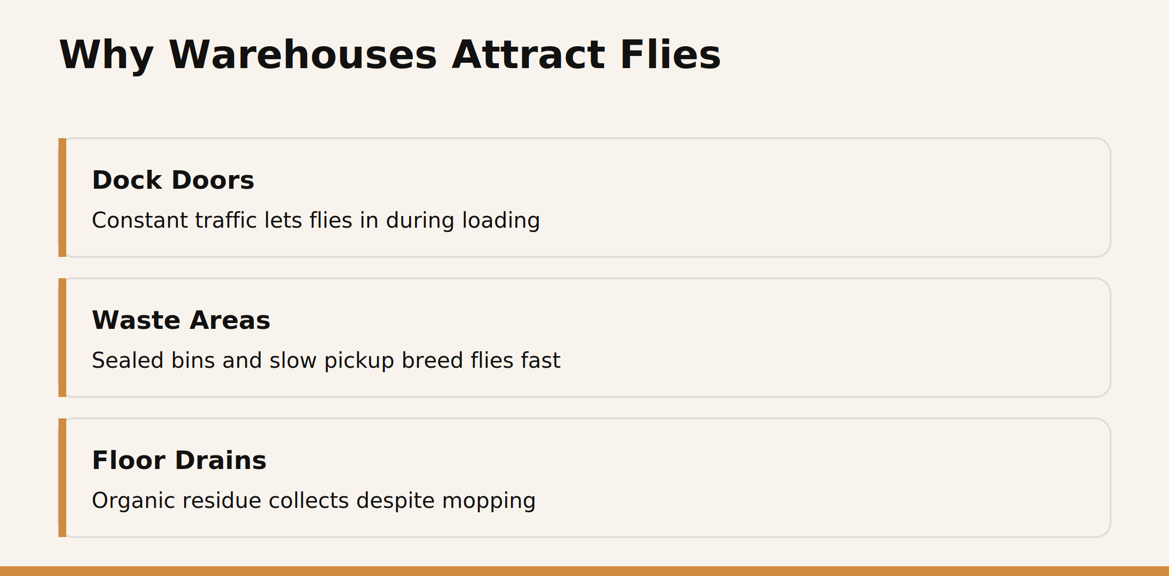 Why warehouses attract flies: dock doors, waste areas and floor drains