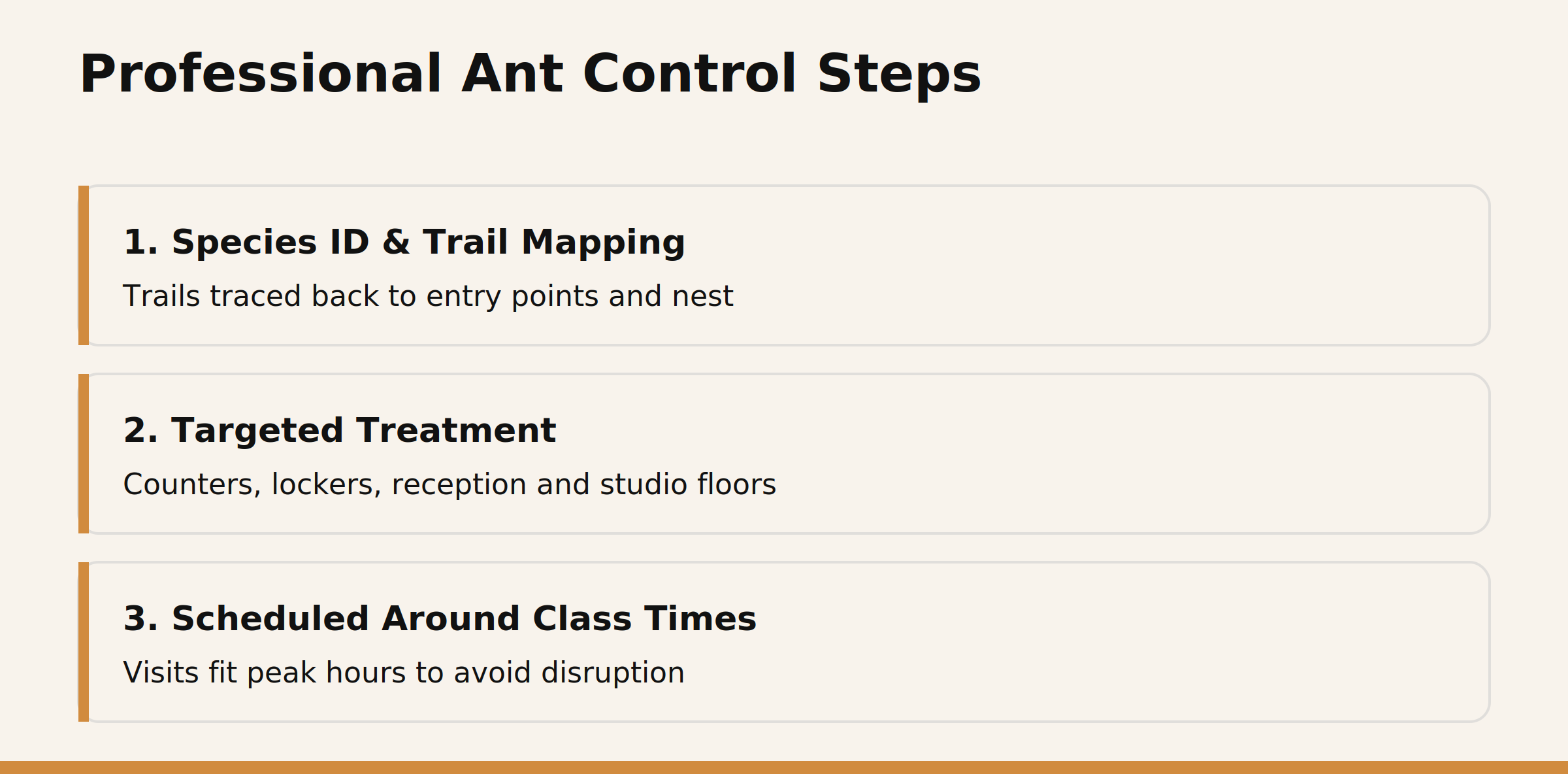 Three steps in professional ant control for gyms