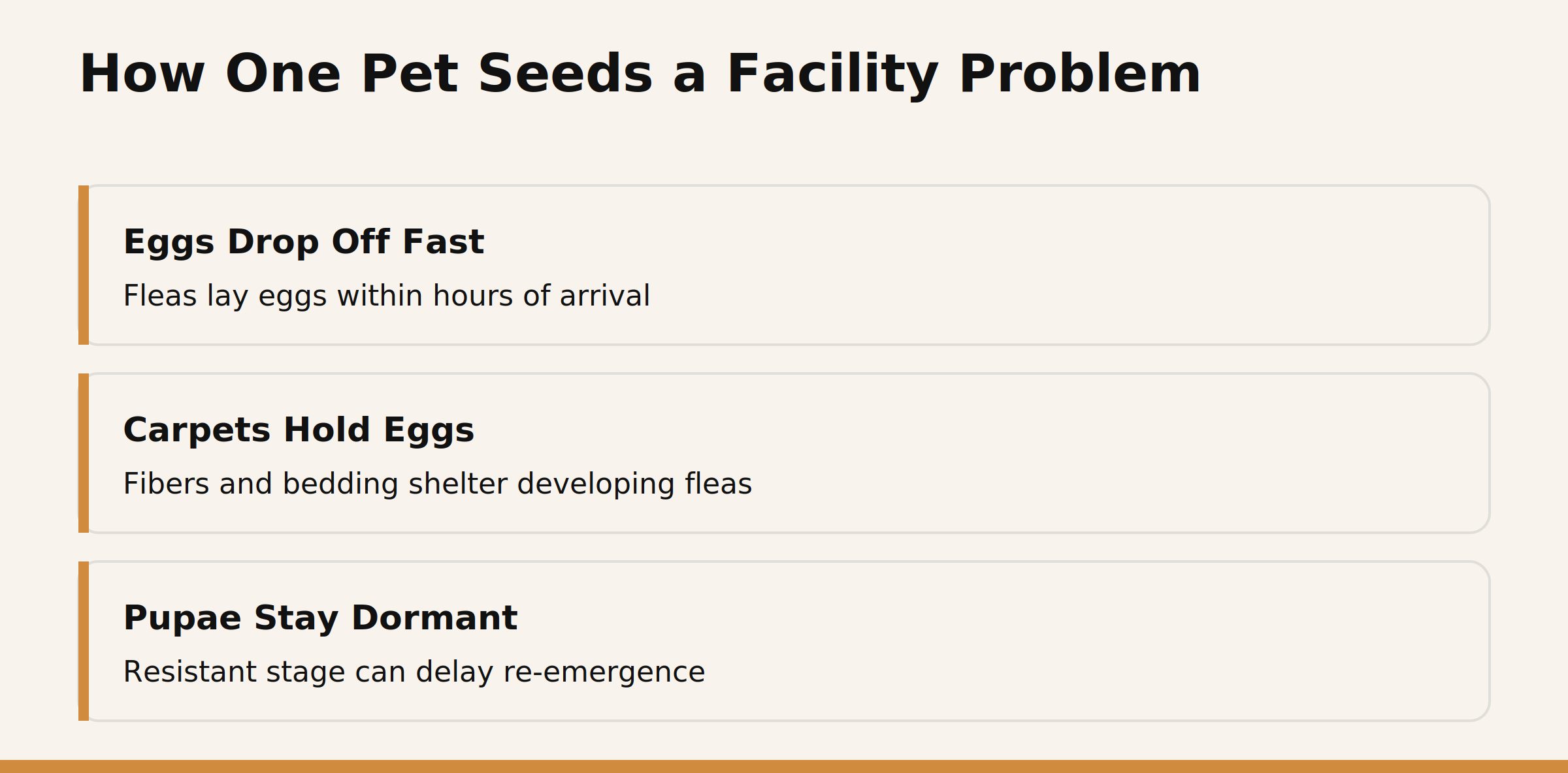 How one pet seeds a facility-wide flea problem
