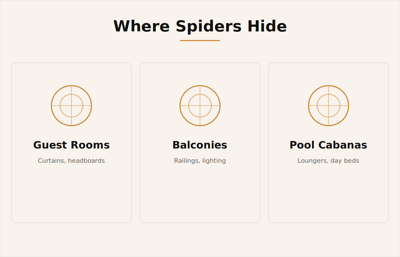 Where spiders hide in a Dubai hotel: guest rooms, balconies and poolside cabanas