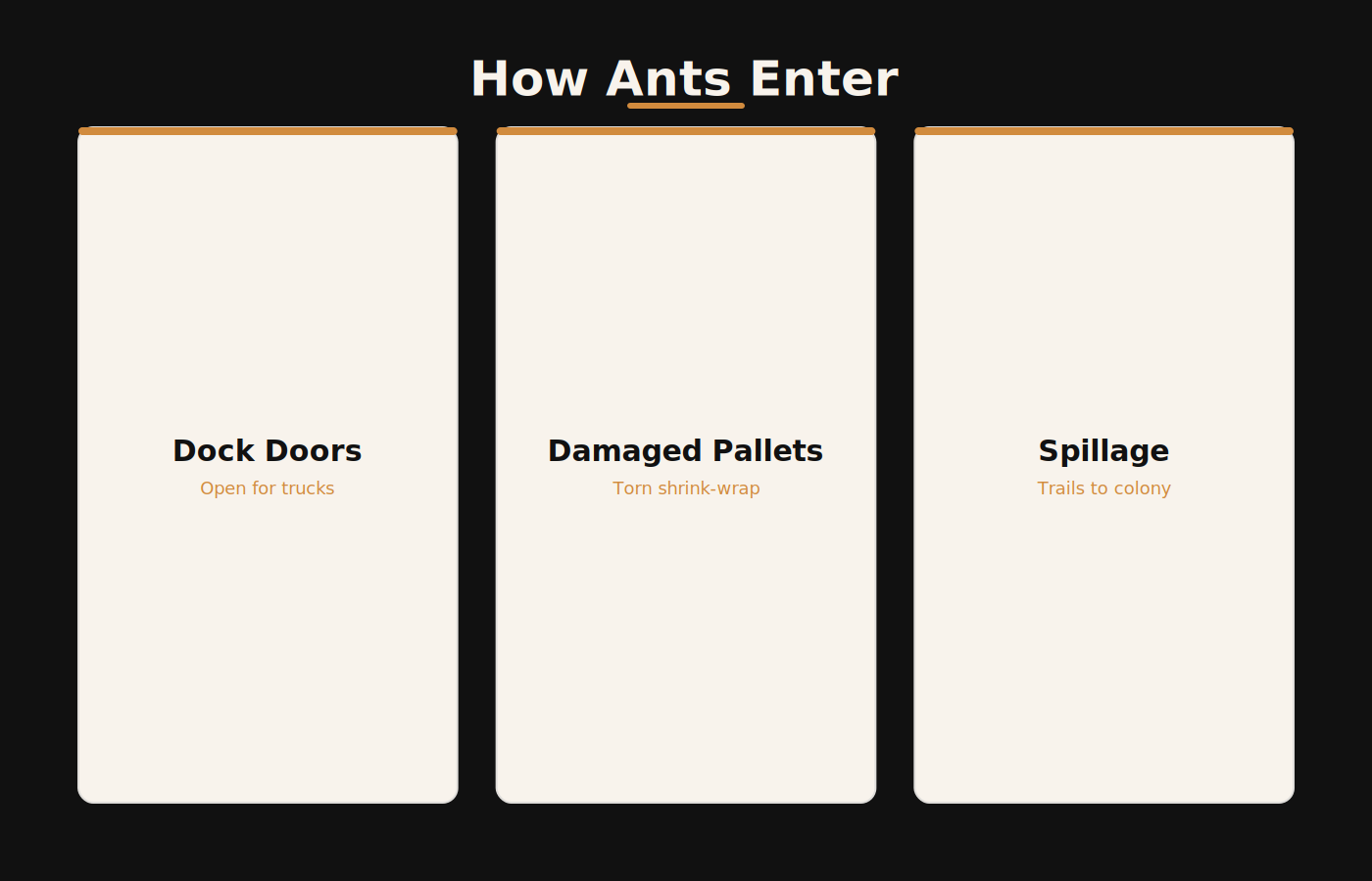 How ants enter Dubai warehouses through dock doors, damaged pallets and spillage