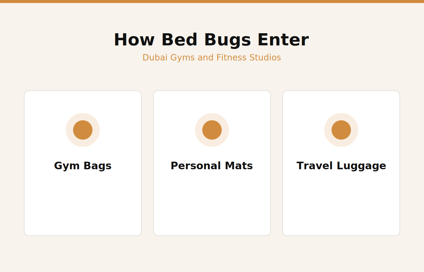 How bed bugs enter a Dubai gym through bags, mats and travel