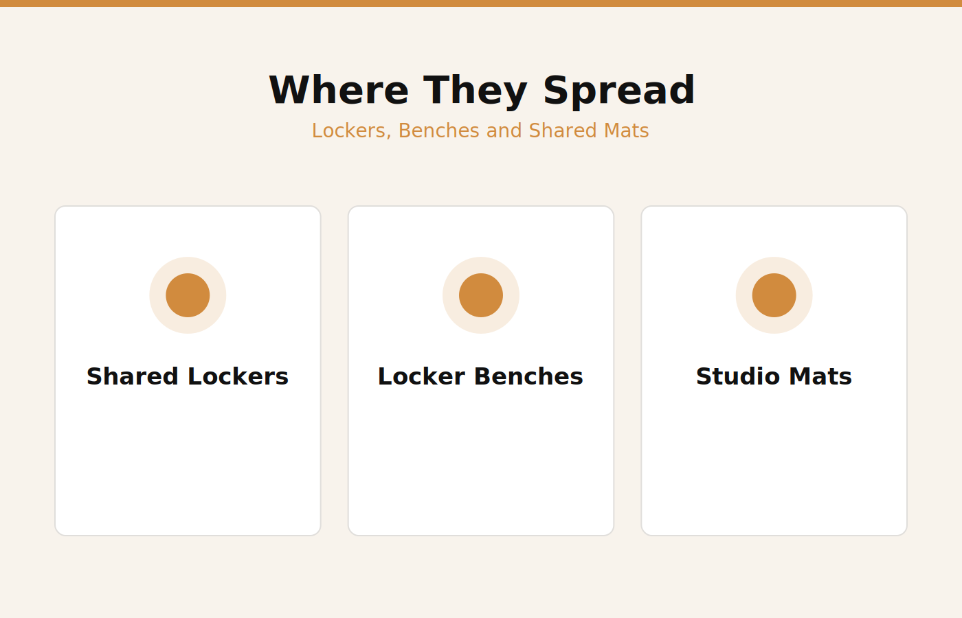 Where bed bugs spread inside a Dubai gym: lockers, benches and shared mats