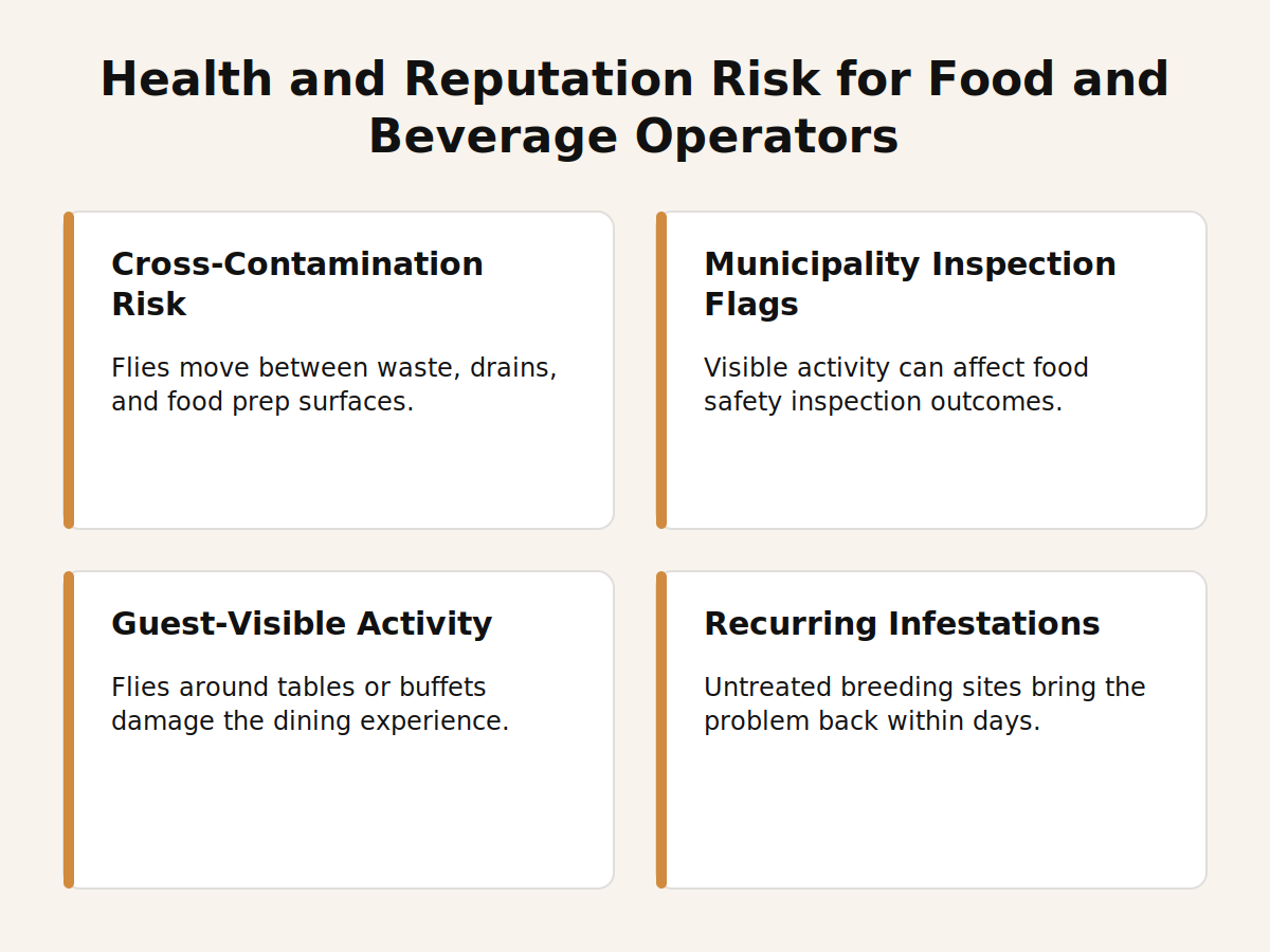 Health and reputation risks of fly activity for Dubai food and beverage operators
