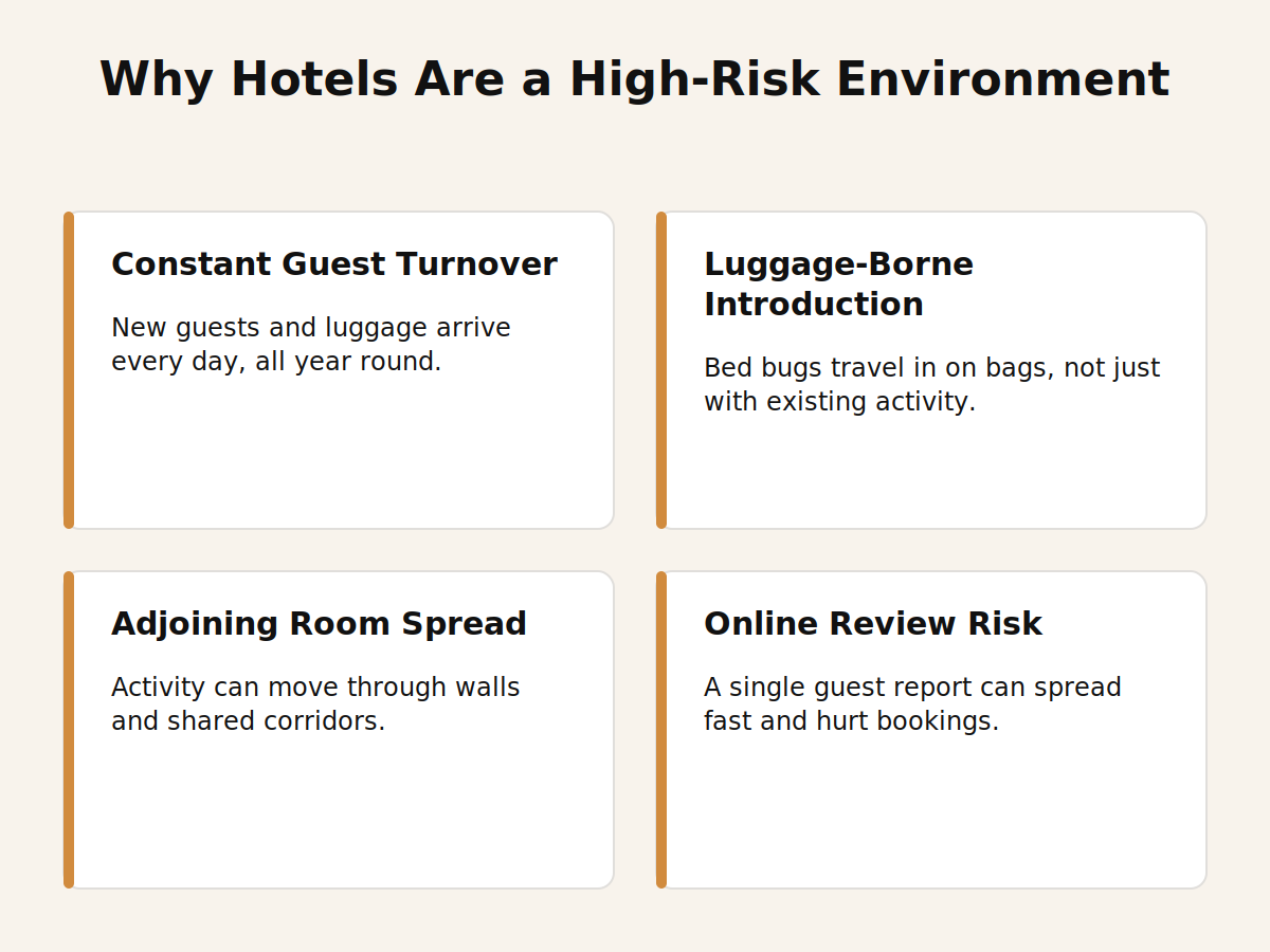Why Dubai hotels face a higher bed bug risk: guest turnover, luggage, adjoining rooms and reviews