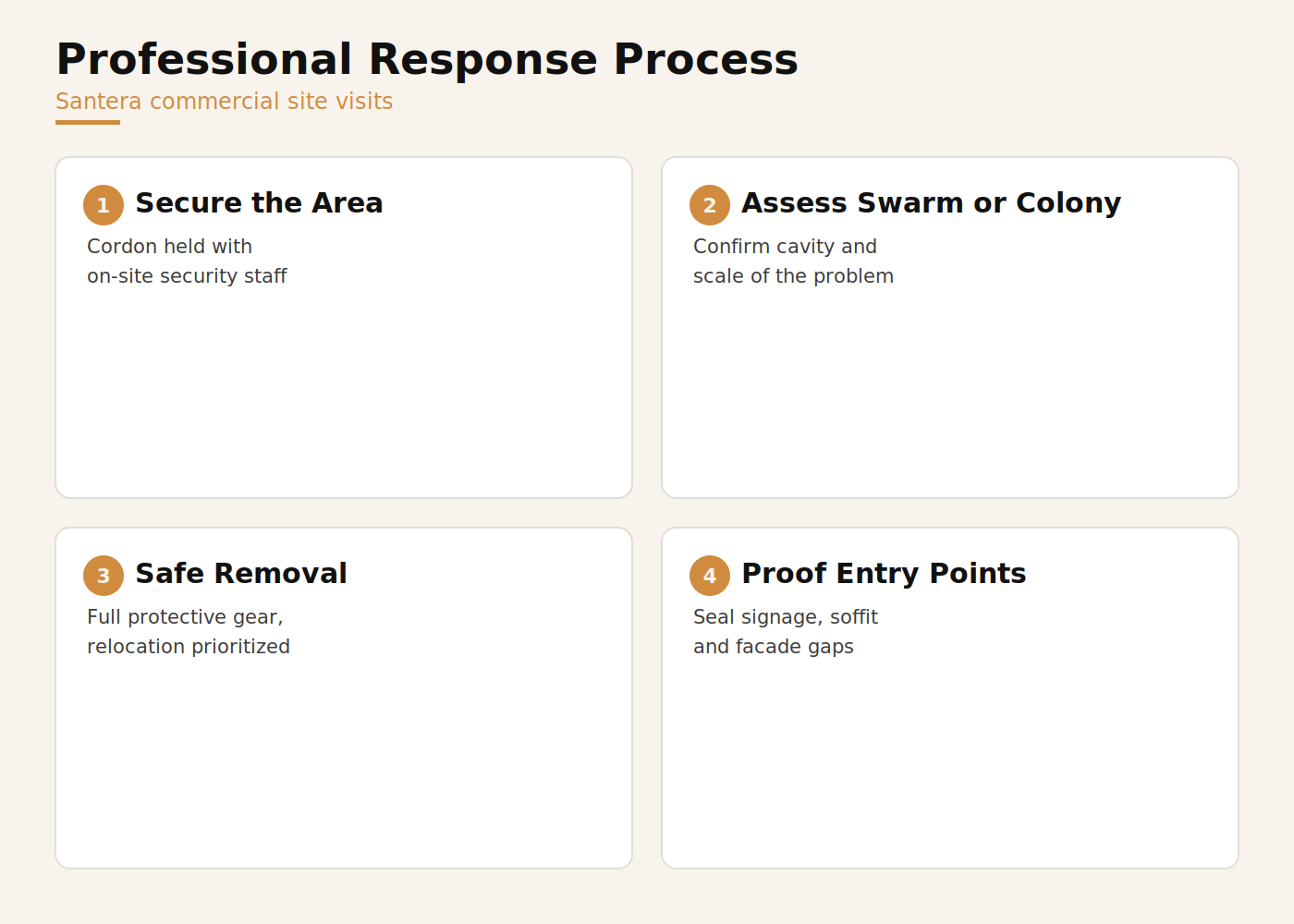 Professional bee swarm response process at commercial sites: secure area, assess swarm or colony, safe removal, proof entry points