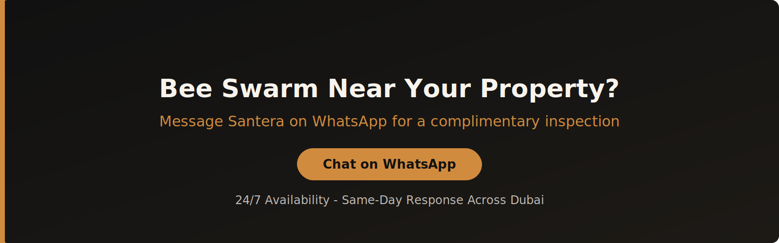 Message Santera on WhatsApp for same-day bee swarm response in Dubai