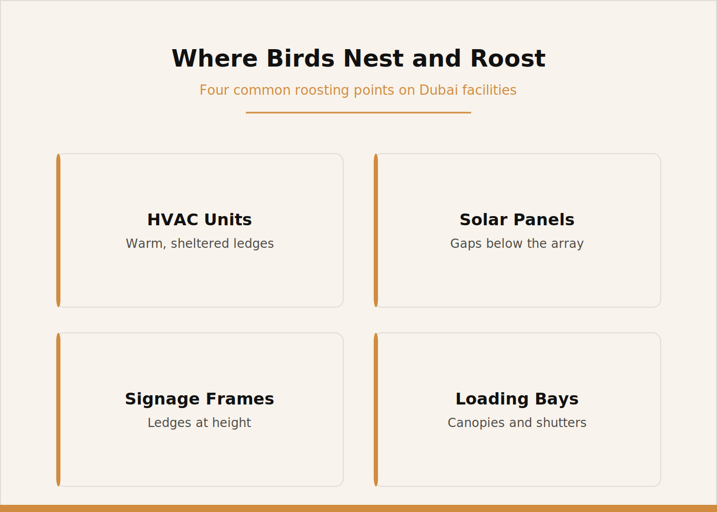 Four common bird roosting points on Dubai commercial facilities: HVAC units, solar panels, signage frames, loading bays