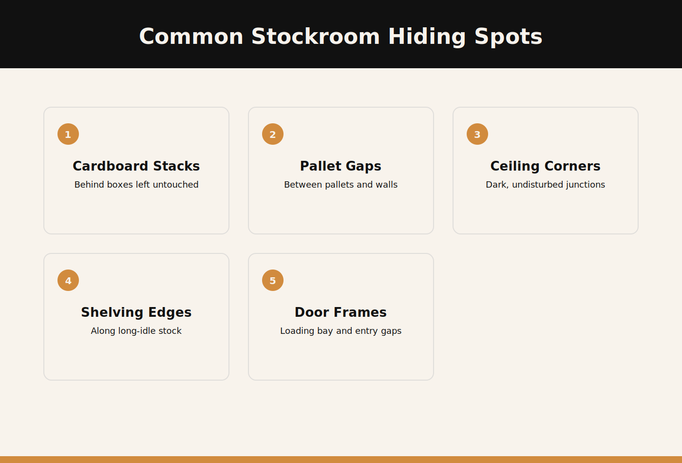 Diagram of common spider hiding spots in a Dubai retail stockroom