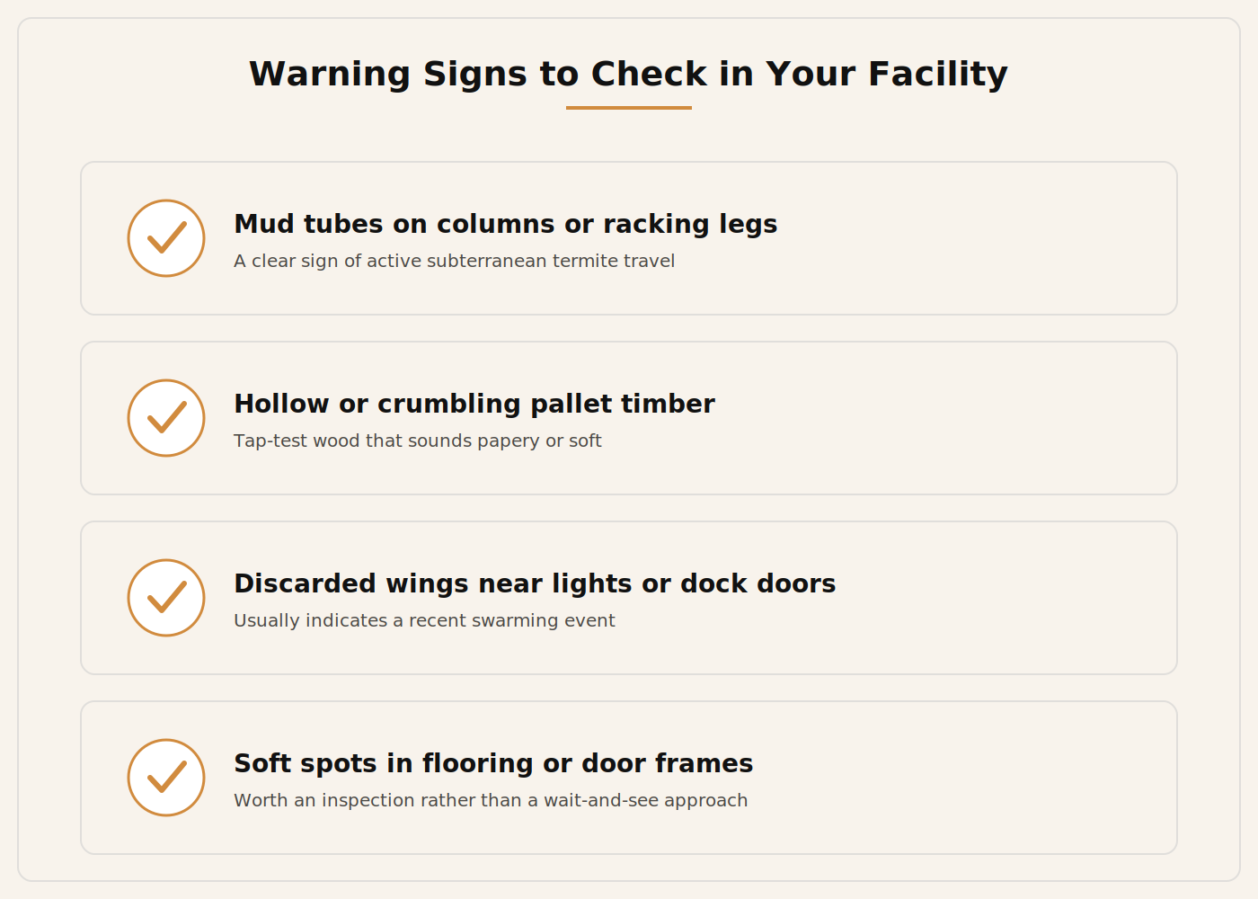 Warning signs of termites to check in your Dubai warehouse or industrial facility