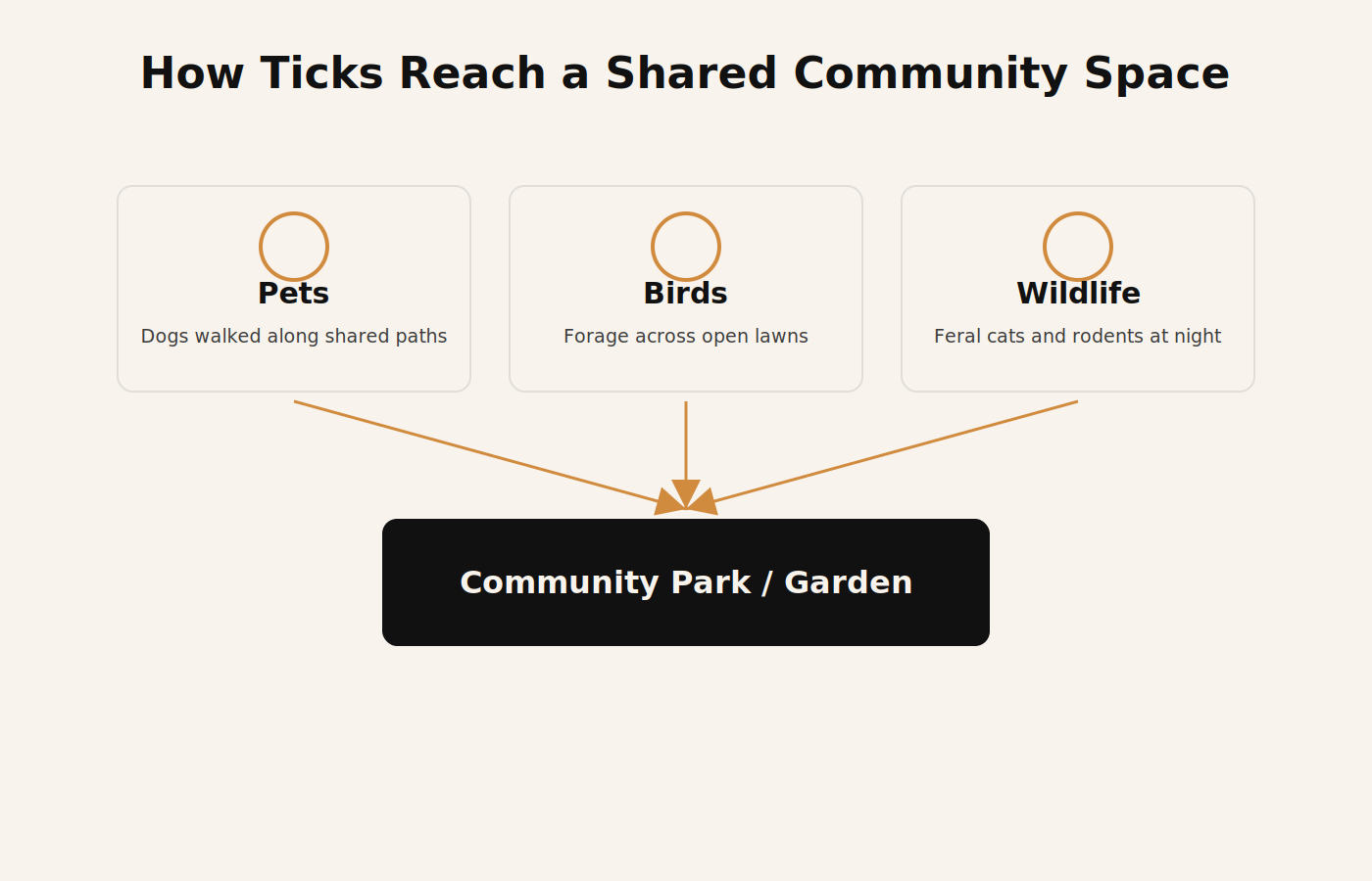 Diagram showing pets, birds and wildlife carrying ticks into a shared Dubai community park or garden