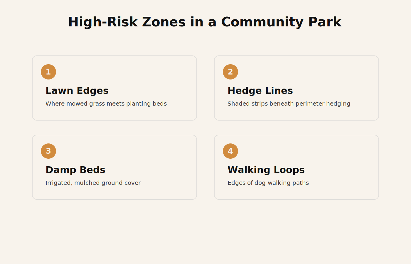 Four high-risk tick zones inside a Dubai community park: lawn edges, hedge lines, damp beds and walking loops