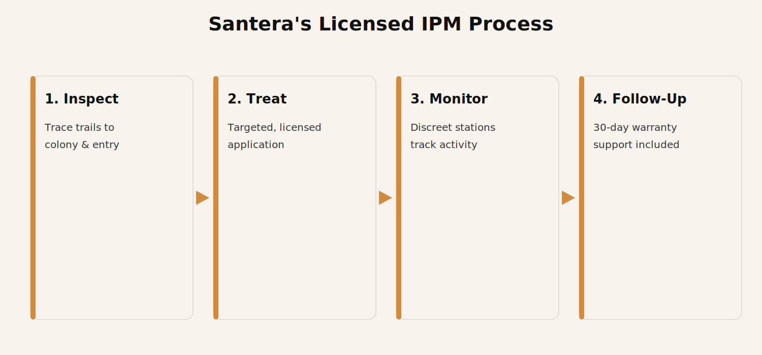 Four steps of a licensed IPM ant treatment process for restaurants